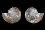 Agate Replaced Ammonite Fossil - Madagascar #169452-1